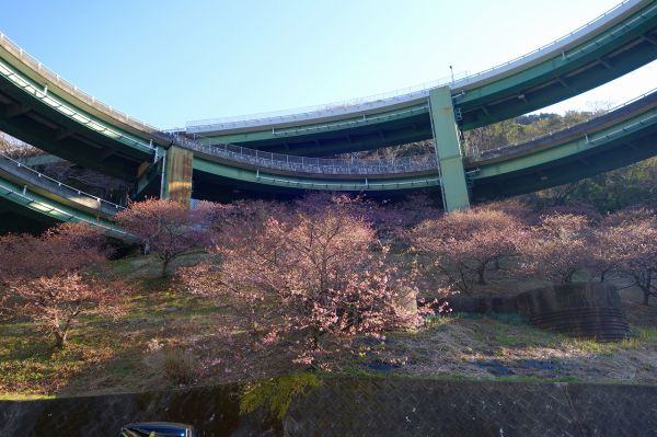 河津七滝ループ橋下