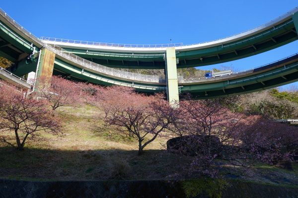 河津七滝ループ橋下