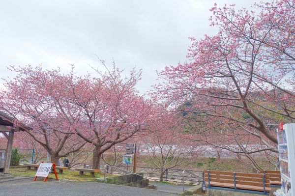 沢田涅槃堂駐車場