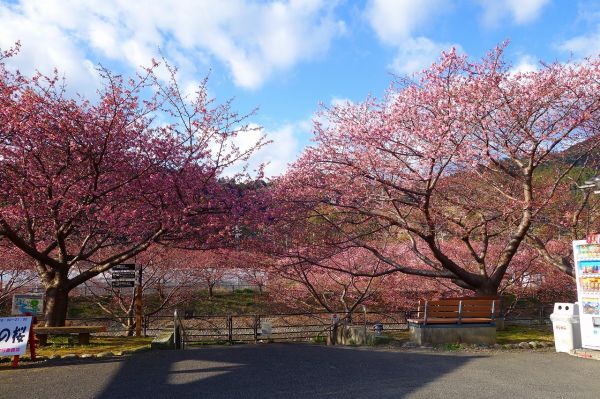 沢田涅槃堂駐車場