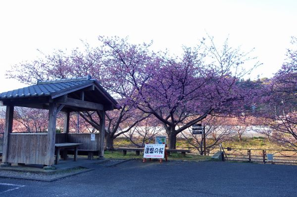 沢田涅槃堂駐車場