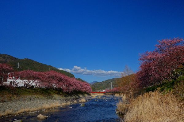 沢田地区河川敷