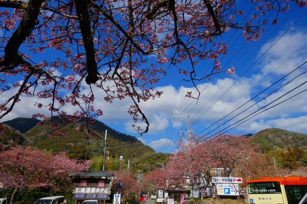 河津七滝メインストリート