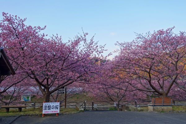 沢田涅槃堂駐車場