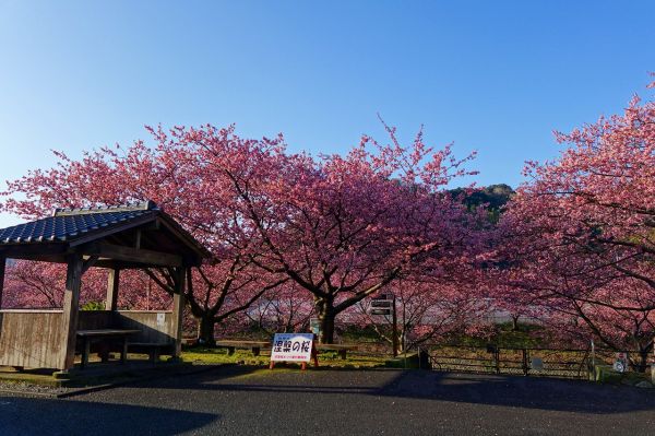 沢田涅槃堂駐車場