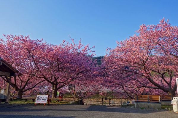 沢田涅槃堂駐車場