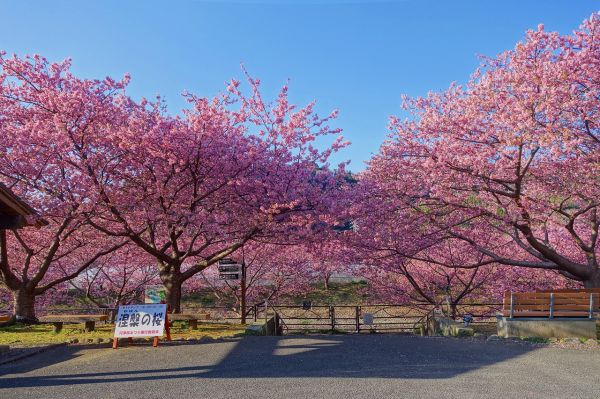 沢田涅槃堂駐車場