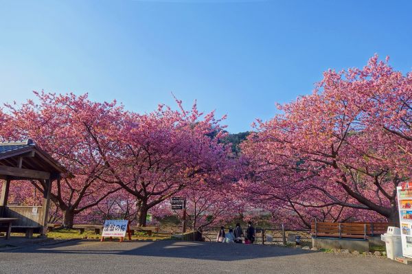 沢田涅槃堂駐車場