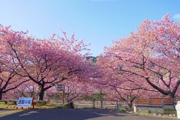 沢田涅槃堂駐車場
