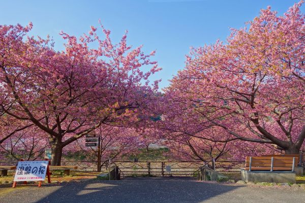 沢田涅槃堂駐車場