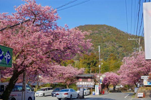 河津七滝メインストリート