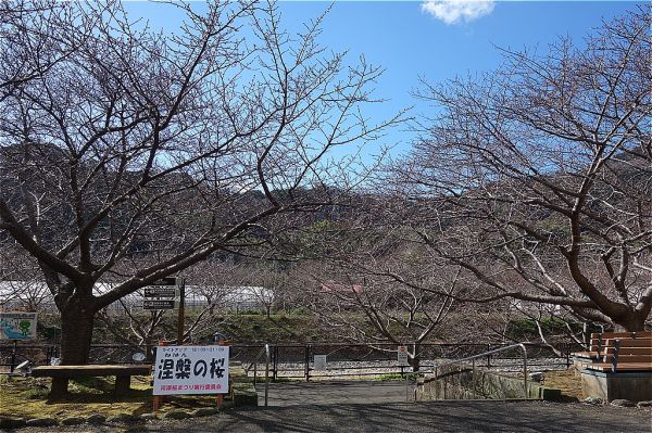 沢田涅槃堂駐車場