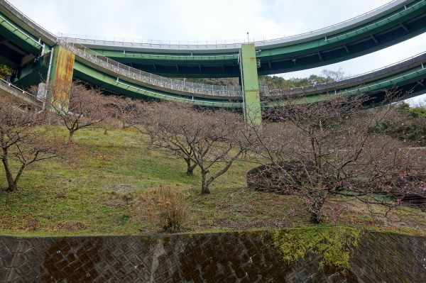 河津七滝ループ橋下