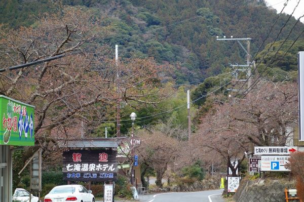 河津七滝メインストリート