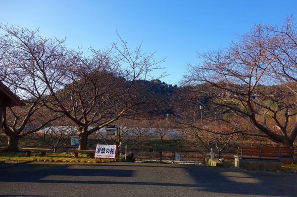 沢田涅槃堂駐車場