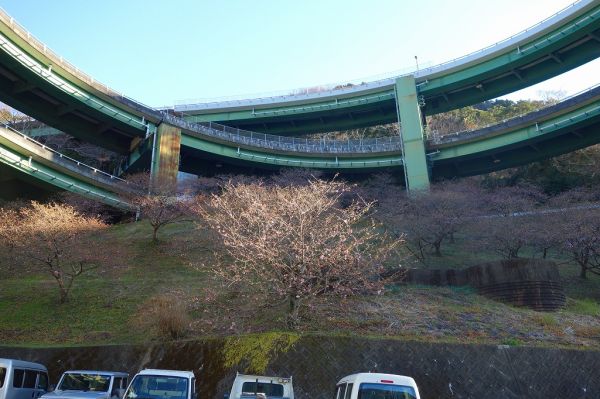 河津七滝ループ橋下