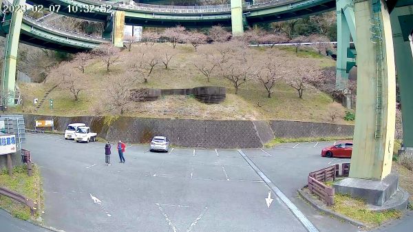 河津七滝ループ橋下