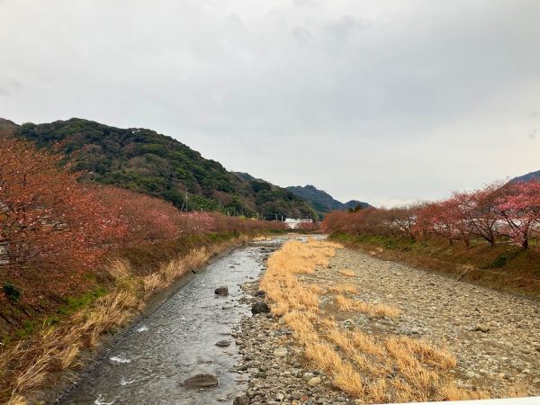 沢田地区川沿い