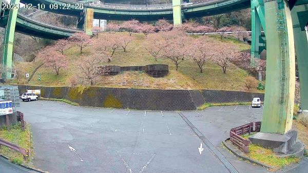 河津七滝ループ橋下