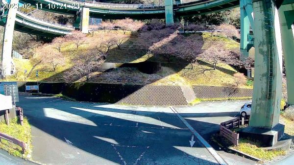 河津七滝ループ橋下