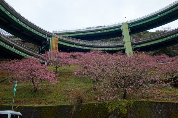 河津七滝ループ橋下