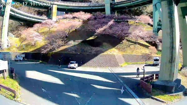 河津七滝ループ橋下