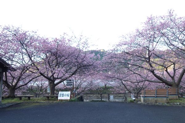 沢田涅槃堂駐車場