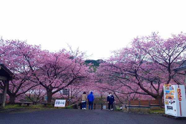 沢田涅槃堂駐車場