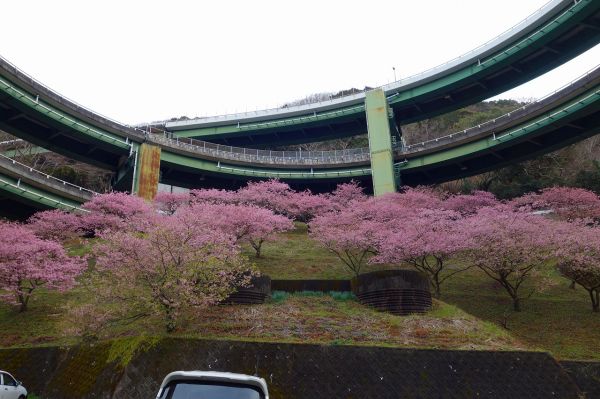 河津七滝ループ橋下