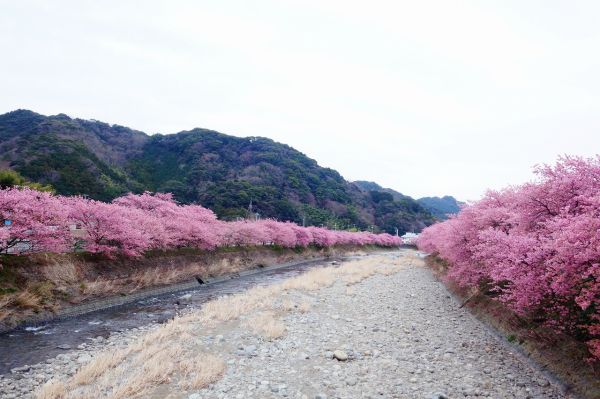 沢田地区川沿い