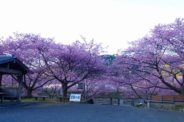 沢田涅槃堂駐車場