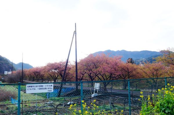 沢田涅槃堂駐車場