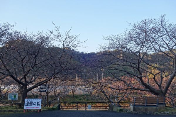 沢田涅槃堂駐車場