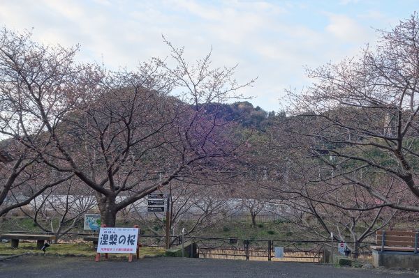 沢田涅槃堂駐車場