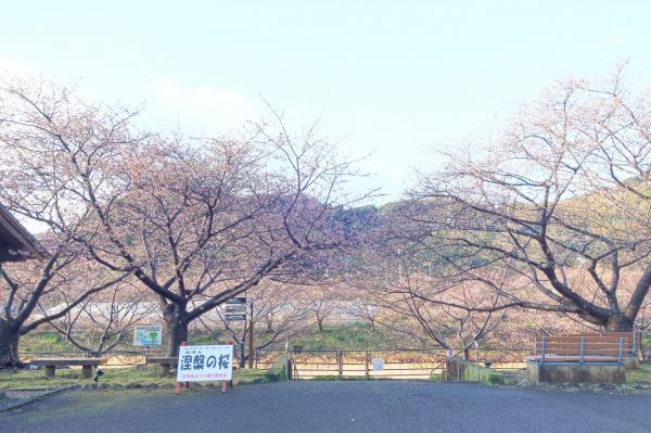沢田涅槃堂駐車場