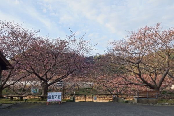 沢田涅槃堂駐車場