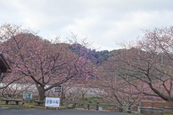 沢田涅槃堂駐車場