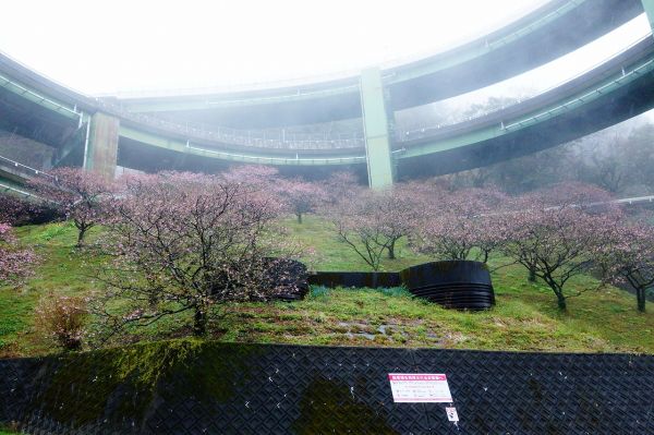 河津七滝ループ橋