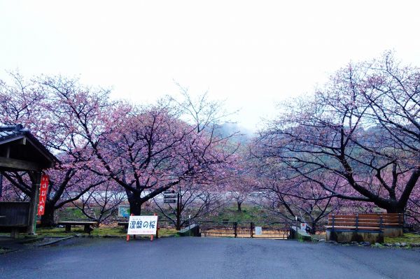 沢田涅槃堂駐車場