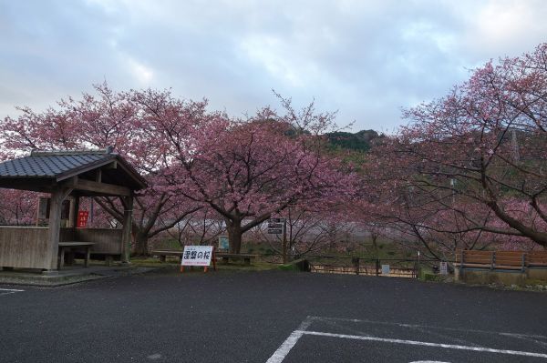 沢田涅槃堂駐車場