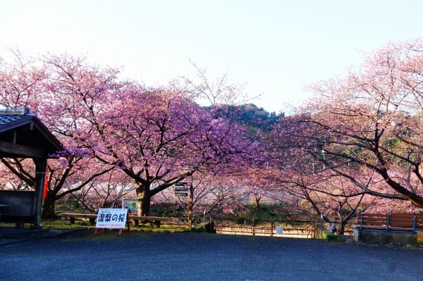 沢田涅槃堂駐車場