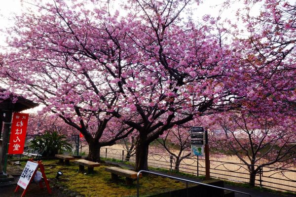 沢田涅槃堂駐車場