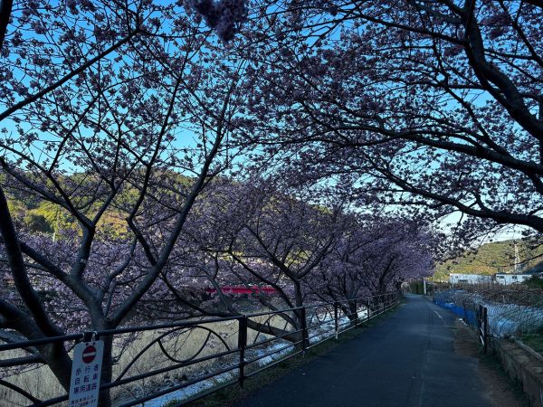 沢田涅槃堂駐車場