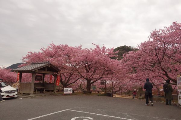 沢田涅槃堂駐車場