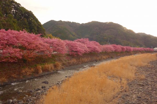 沢田涅槃堂駐車場