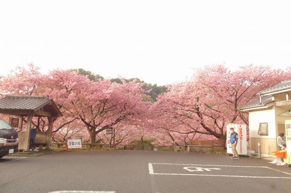 沢田涅槃堂駐車場