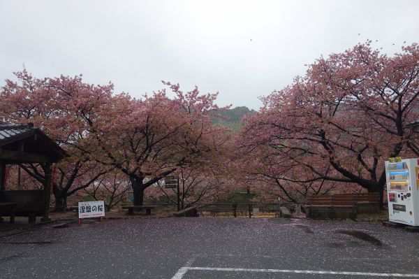 沢田涅槃堂駐車場
