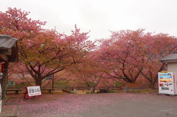 沢田涅槃堂駐車場