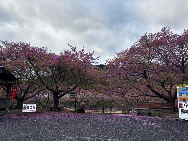 沢田涅槃堂駐車場