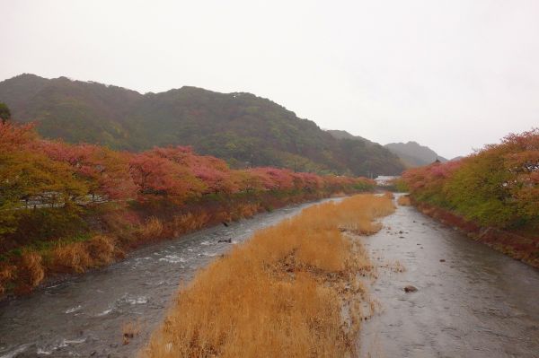 峰小橋（涅槃堂駐車場裏）